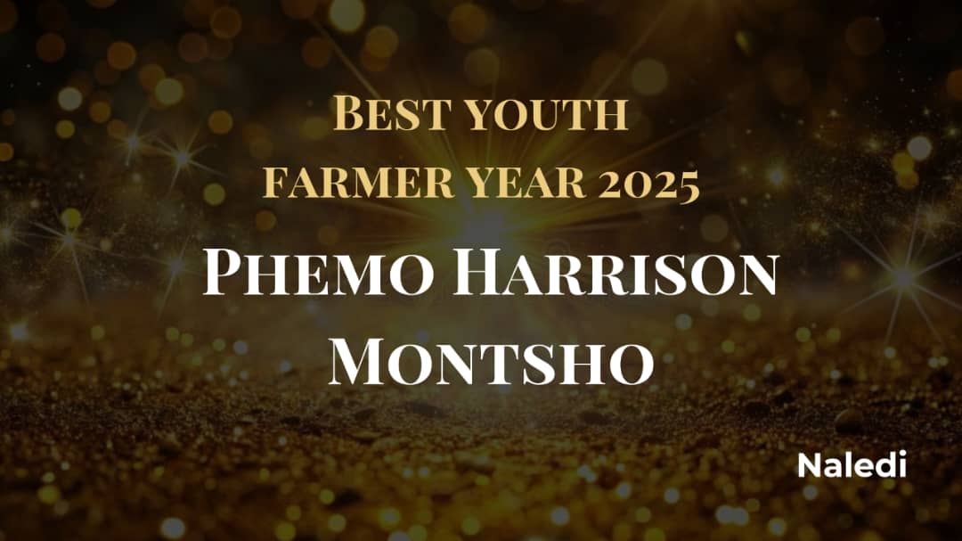 Phemo Harrison Montsho