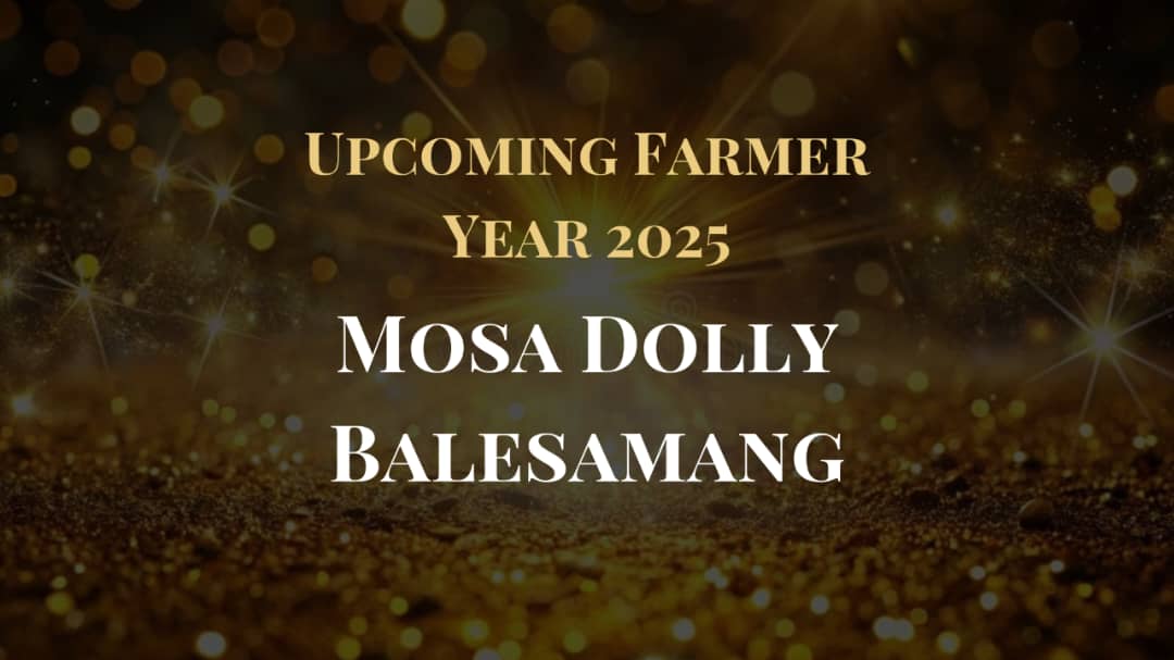 Mosa Dolly Balesamang